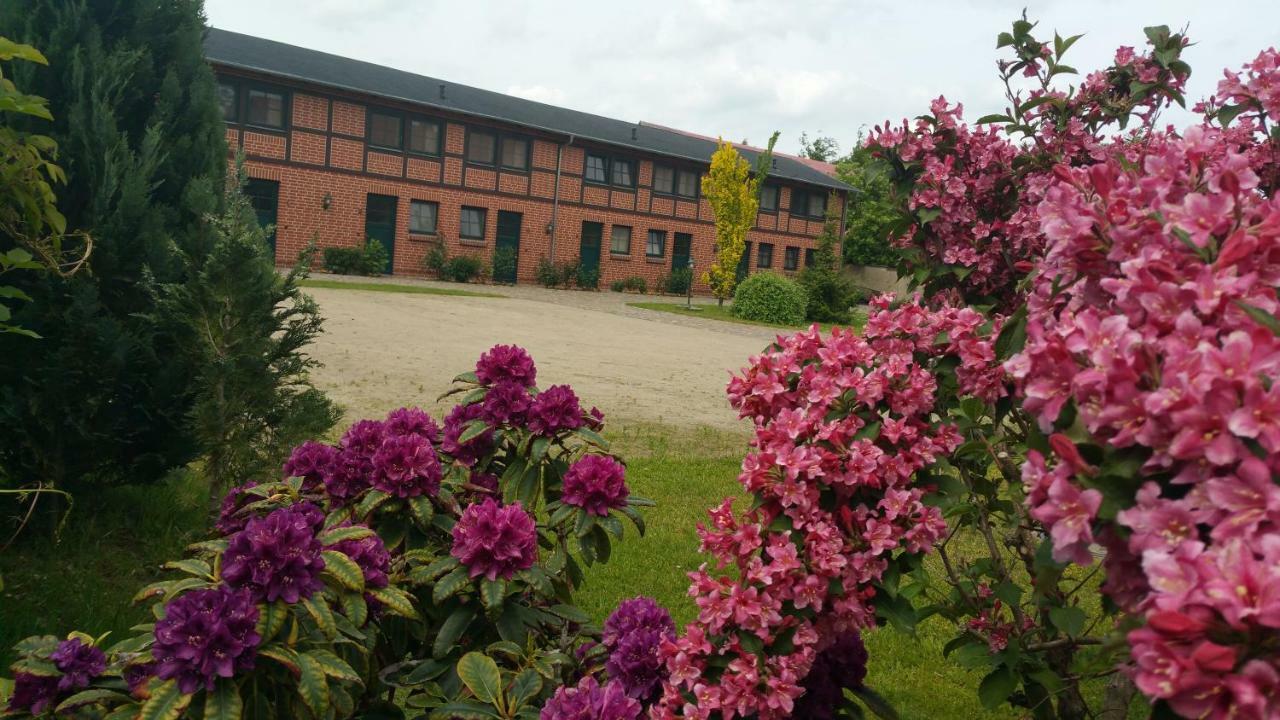 Landferienhof "Mueritzufer" Ludorf Exterior photo